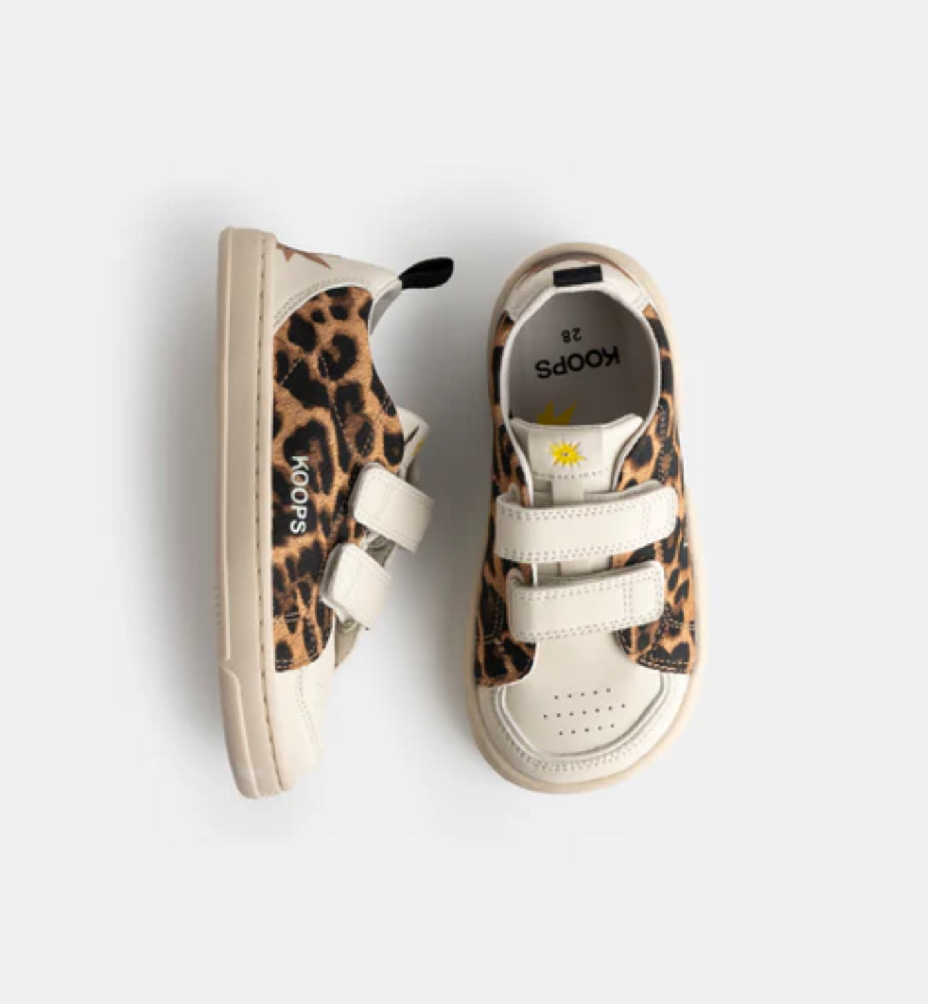 Koops Rafi - Leopardo